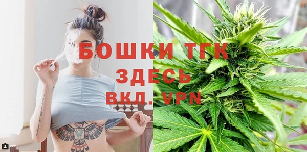 СК Аркадак