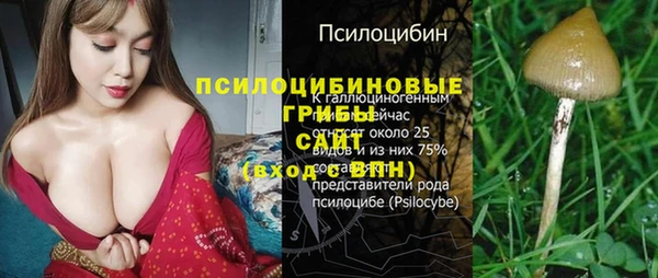 apvp Арсеньев