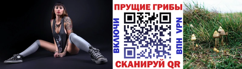 Псилоцибиновые грибы GOLDEN TEACHER  что такое наркотик  Луга 